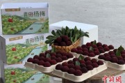 梦见螃蟹高速赋能产业升级：一条“杨梅路”的致富密码
